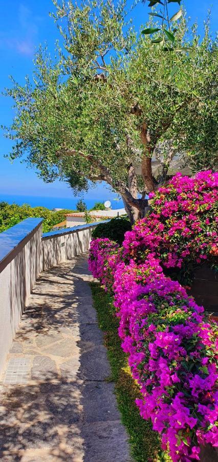 Appartamenti Luongo Forio di Ischia Zewnętrze zdjęcie