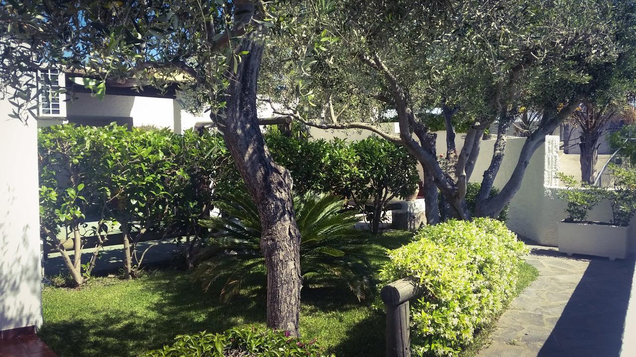 Appartamenti Luongo Forio di Ischia Zewnętrze zdjęcie