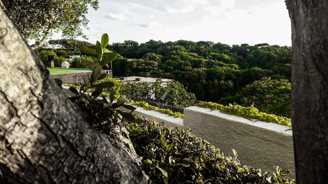 Appartamenti Luongo Forio di Ischia Zewnętrze zdjęcie