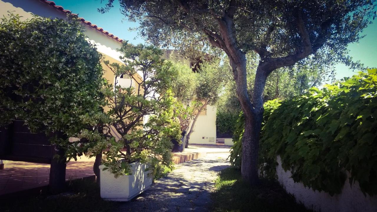 Appartamenti Luongo Forio di Ischia Zewnętrze zdjęcie