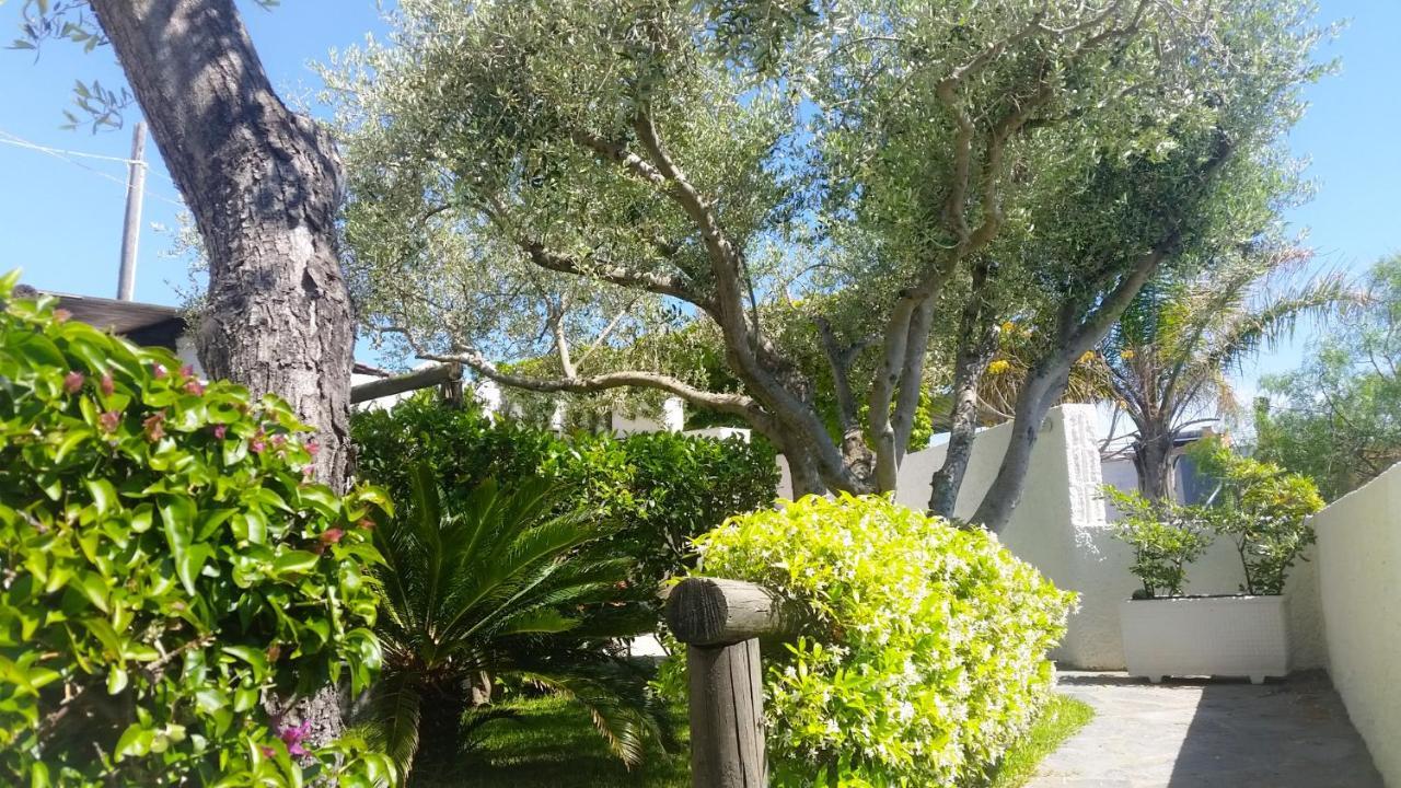 Appartamenti Luongo Forio di Ischia Zewnętrze zdjęcie