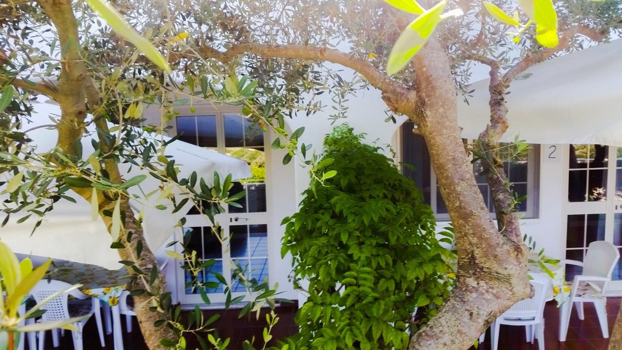 Appartamenti Luongo Forio di Ischia Zewnętrze zdjęcie