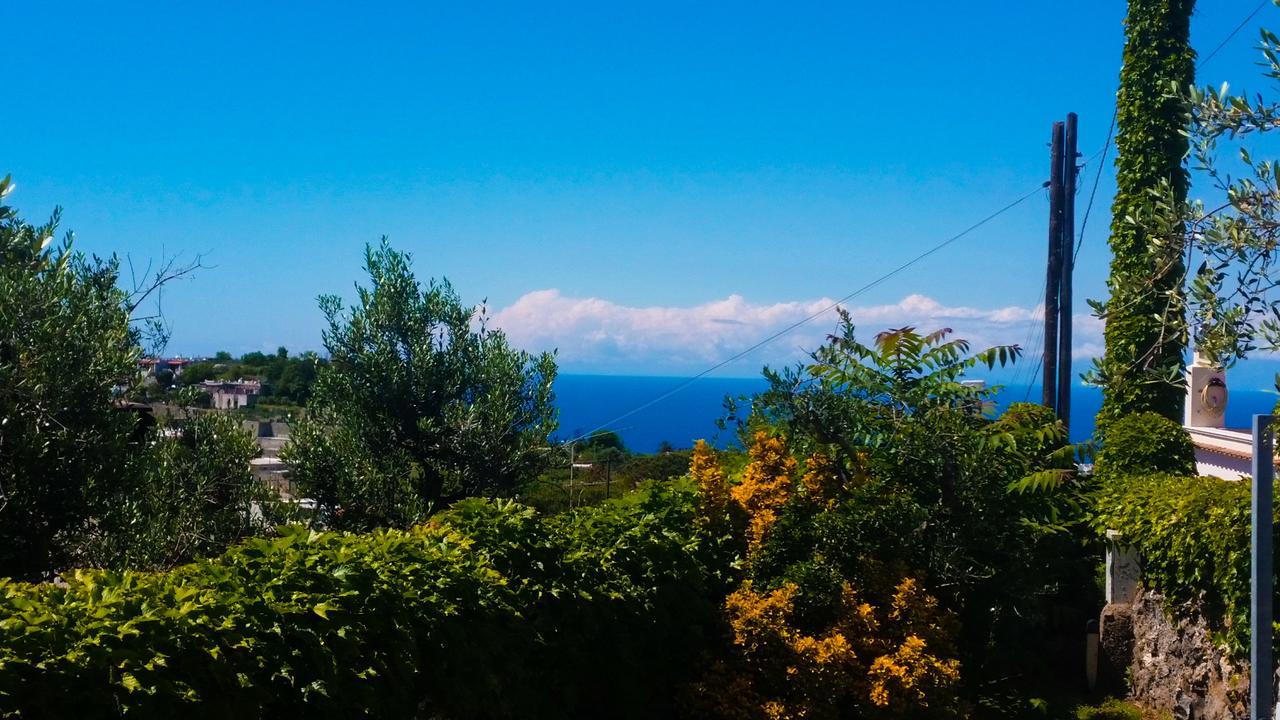 Appartamenti Luongo Forio di Ischia Zewnętrze zdjęcie