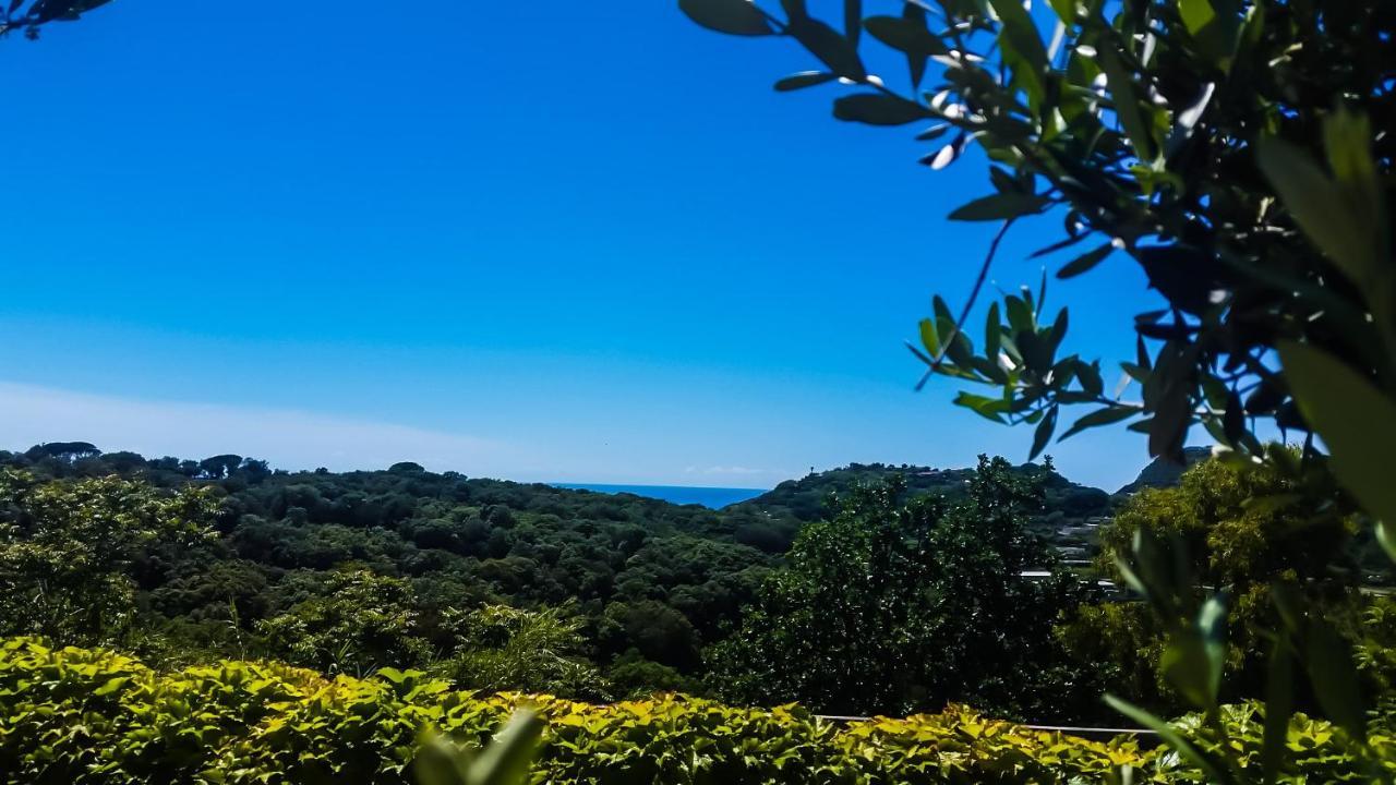 Appartamenti Luongo Forio di Ischia Zewnętrze zdjęcie