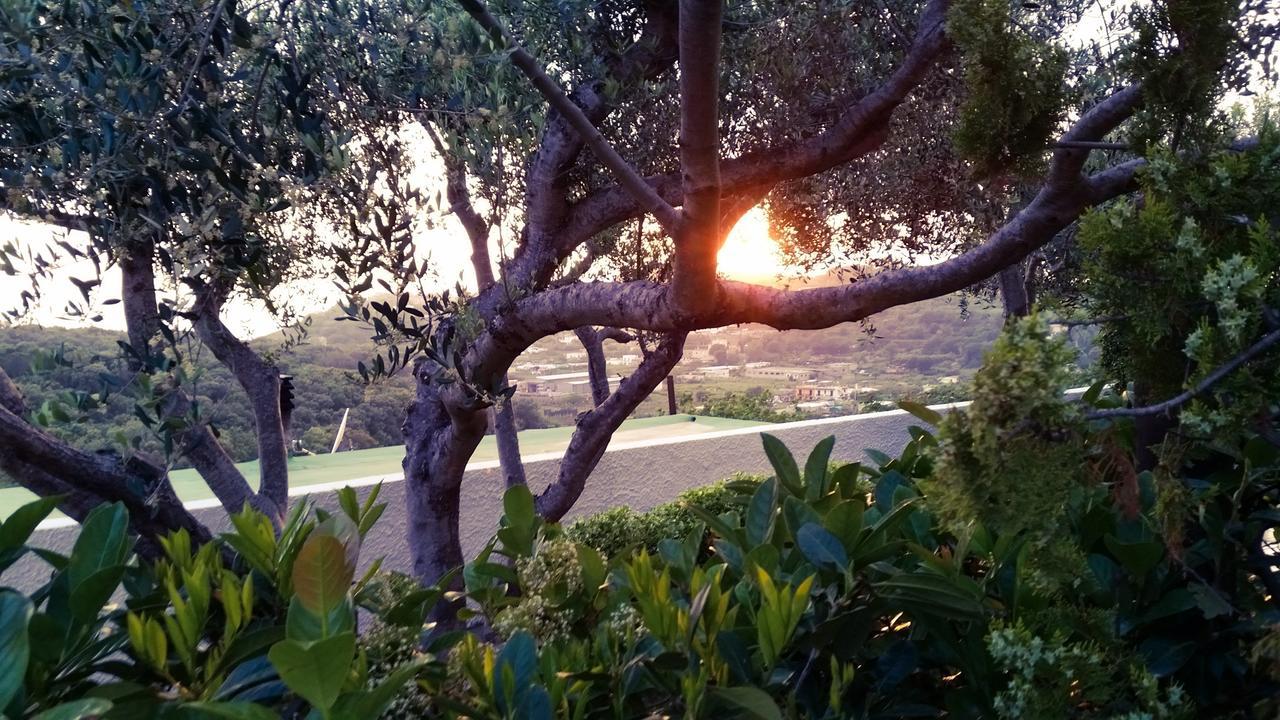 Appartamenti Luongo Forio di Ischia Zewnętrze zdjęcie